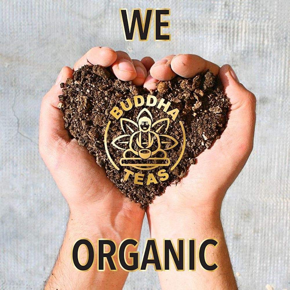 Buddha Teas - Organic Milk Thistle Tea - Herbal Tea - Single Ingredient - Mild, Earthy, Nutty Taste - Enjoy Hot or Cold - Caffeine Free - 100% Kosher