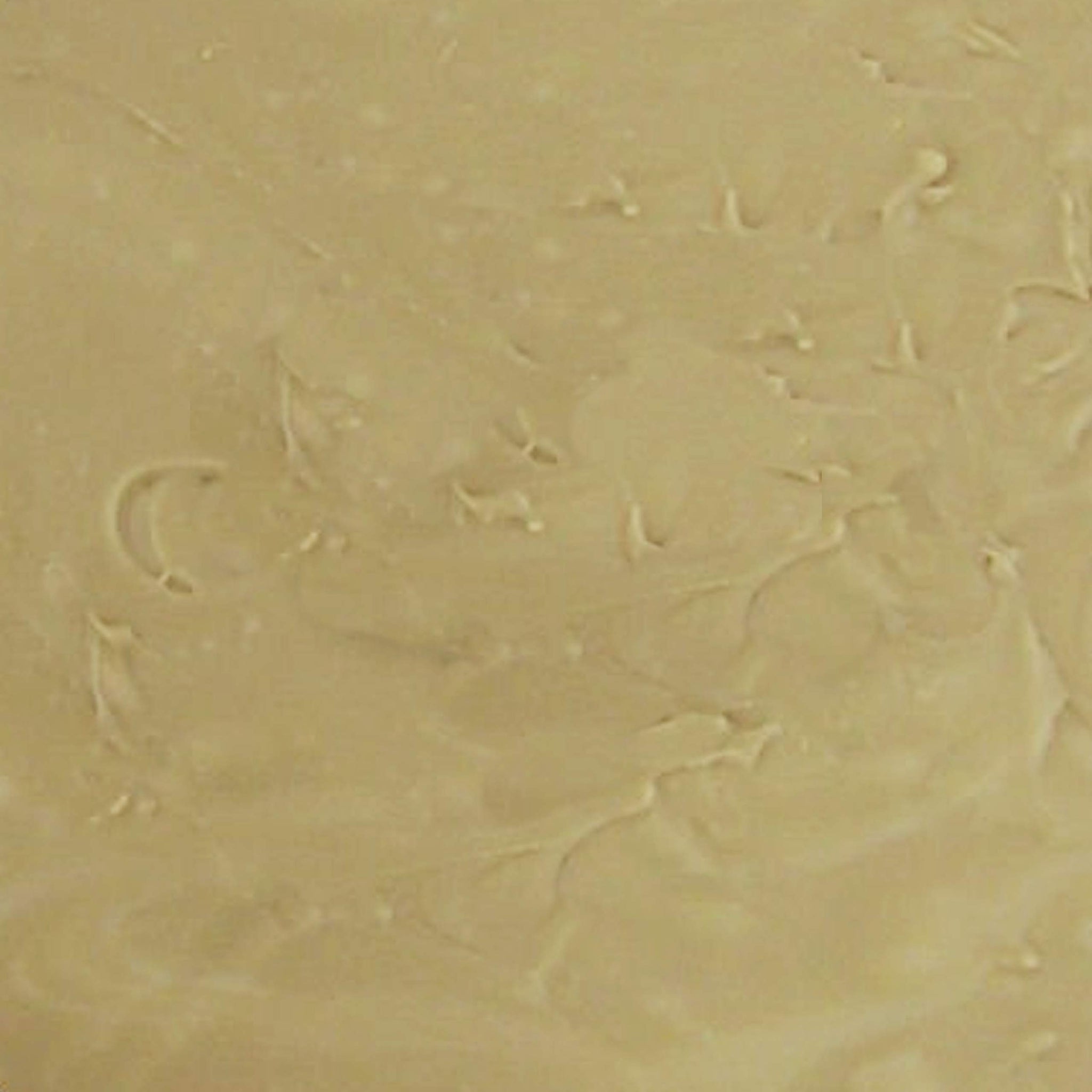 Home Made Creamy Maple Fudge - 1 Lb Box