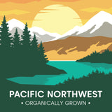 Wilderness Poets, Organic, Pacific Northwest-Grown Hazelnuts - Raw, Whole Nuts with Skins, No Shells. Bulk Size (32 Ounce - 2 Pound)