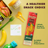SOLELY - Organic Mango & Organic Pineapple Fruit Jerky (10 Mango, 6 Pineapple) - Real Fresh Fruit Strips - Healthy Snacks for Adults & Kids - Non GMO