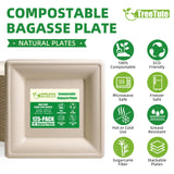 TreeTute 10 Inch Compostable Square Paper Plates [125-Pack], Disposable Biodegradable Bagasse Plates | Heavy-Duty | Eco-friendly | Large Dinner Plates