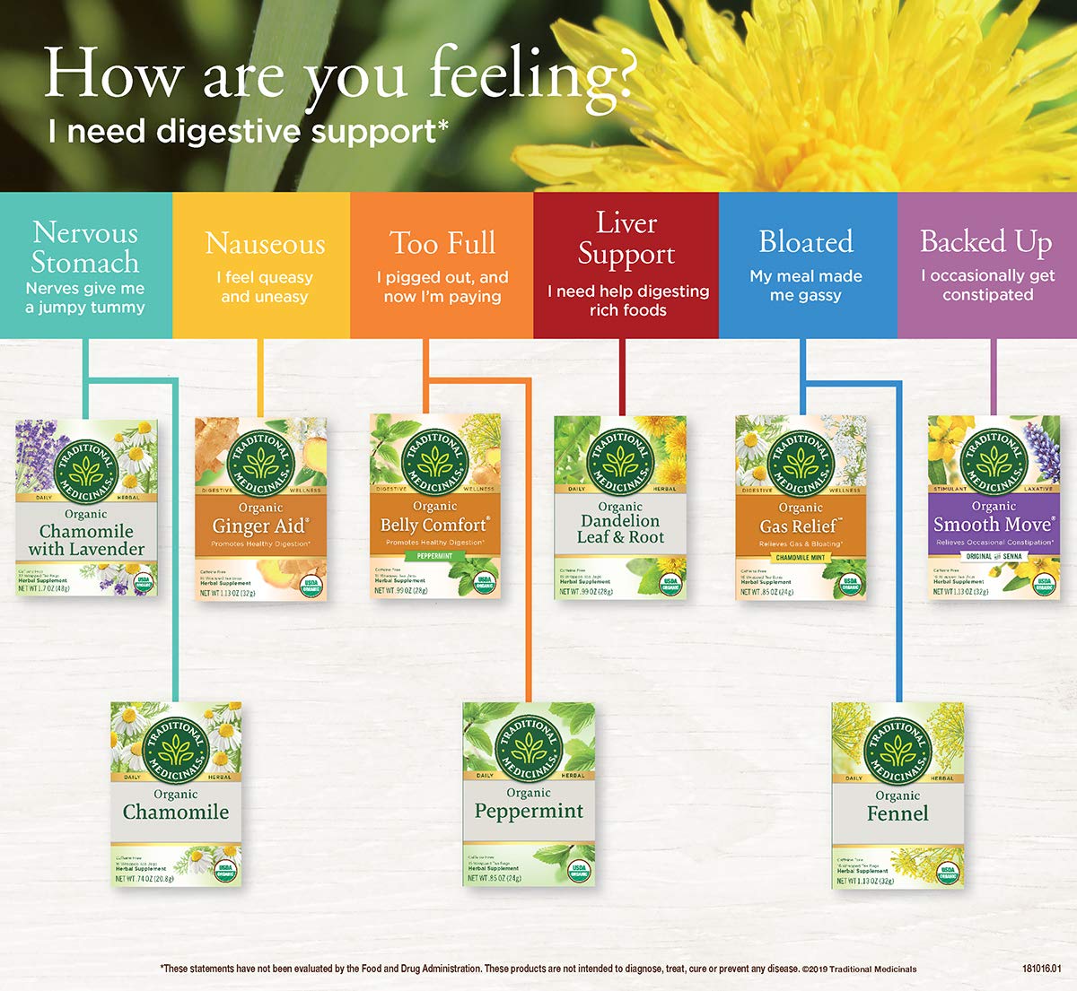 Traditional Medicinals Organic Belly Comfort Peppermint Digestive Tea, 16 Tea Bags (Pack of 1)