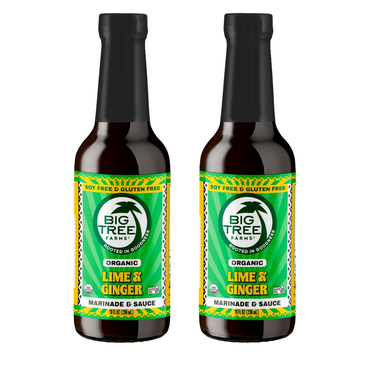 Big Tree Farms Organic Coco Aminos - Liquid Coconut Aminos, Soy-Free Sauce, Low Sodium, Soy Alternative, Gluten Free, Kosher, Marinade & Sauce