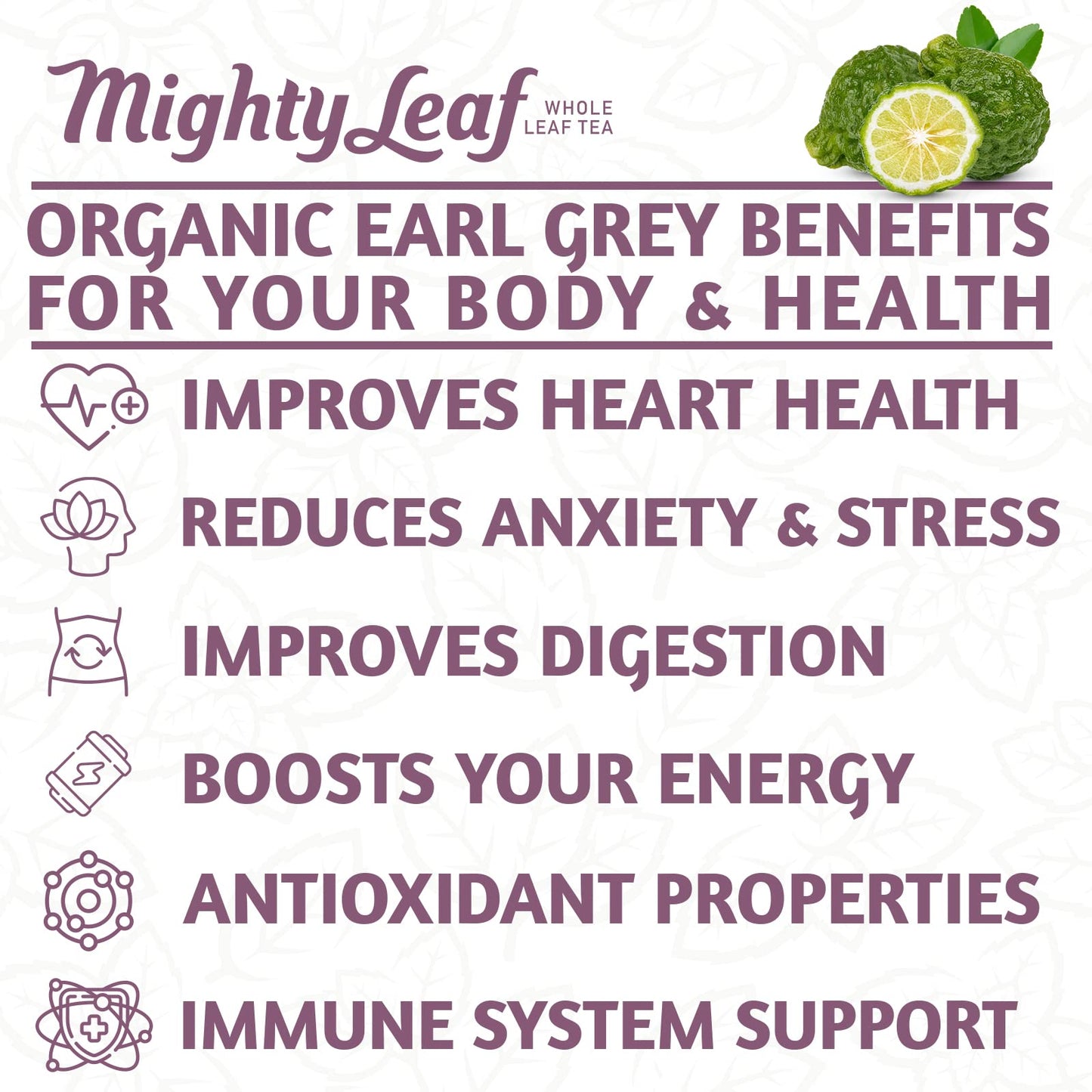Mighty Leaf Organic Earl Grey Tea - 100 Count Whole Leaf Tea Pouches - Black Tea with Bergamot - Premium Caffeinated Tea Bags - USDA Organic Certified