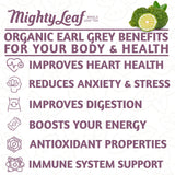 Mighty Leaf Organic Earl Grey Tea - 100 Count Whole Leaf Tea Pouches - Black Tea with Bergamot - Premium Caffeinated Tea Bags - USDA Organic Certified