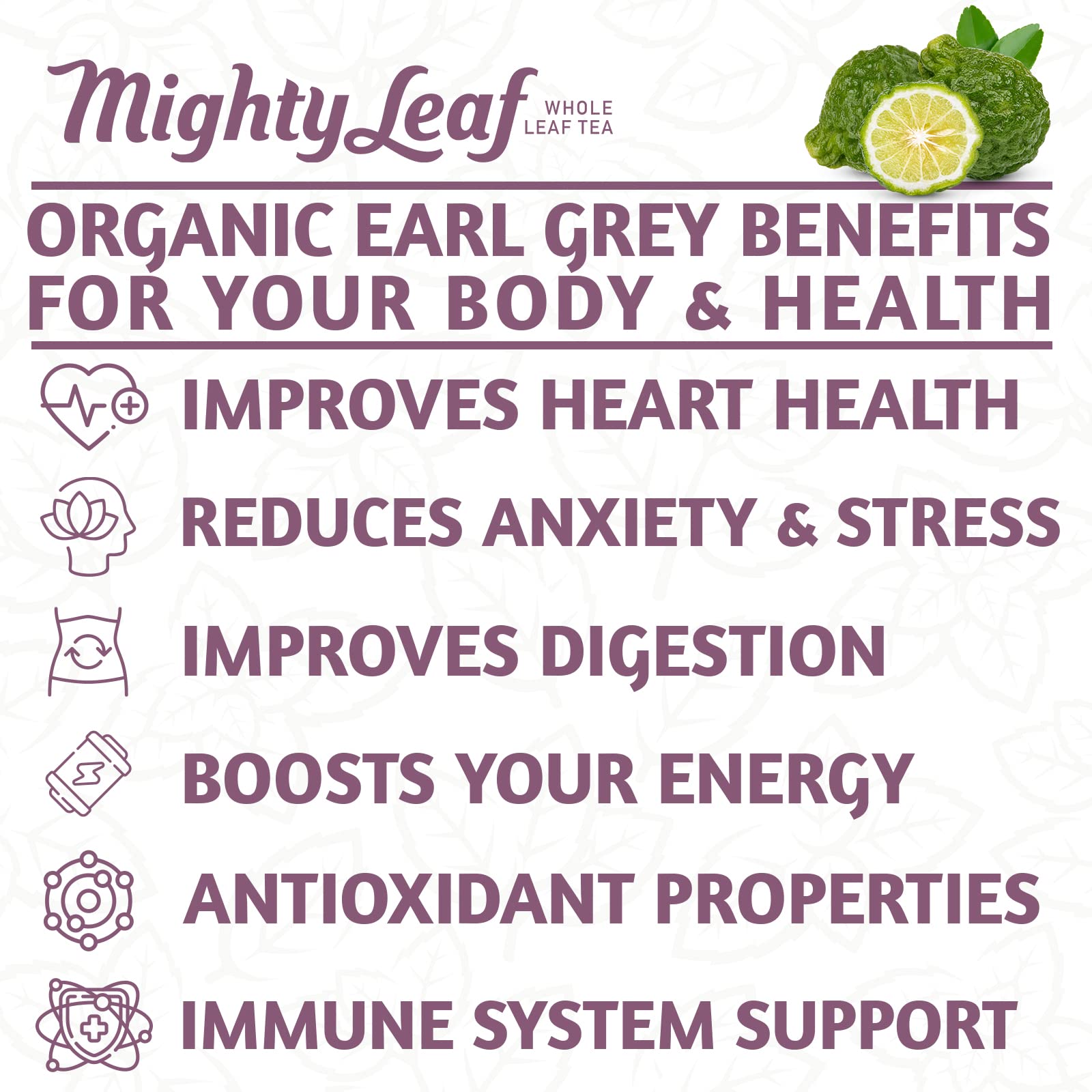 Mighty Leaf Organic Earl Grey Tea - 100 Count Whole Leaf Tea Pouches - Black Tea with Bergamot - Premium Caffeinated Tea Bags - USDA Organic Certified
