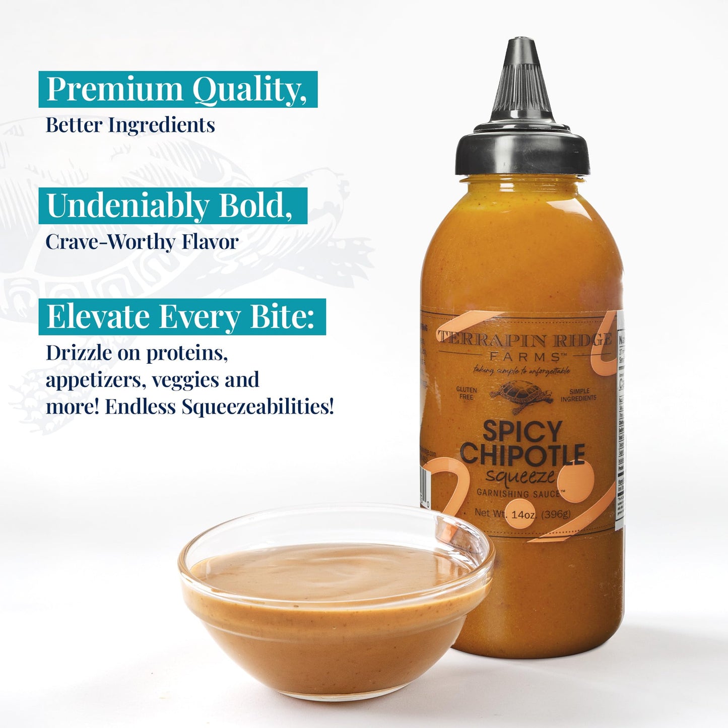 Terrapin Ridge Farms Gourmet Spicy Chipotle Garnishing Sauce - Two 14 Ounce Squeeze Bottles