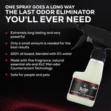 Blaze Away Commercial Air Freshener & Odor Eliminator for Strong Odor - Industrial-Grade Room Spray & Room Deodorizer for Home, Car, Smoke & Pet Odors