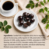 Andy Anand Vegan Belgian Dark Chocolate Figs 24 Pc Gift Box