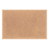 Xero Green Techno Pad Window Cleaning Kit with Walnut Scrub Pads