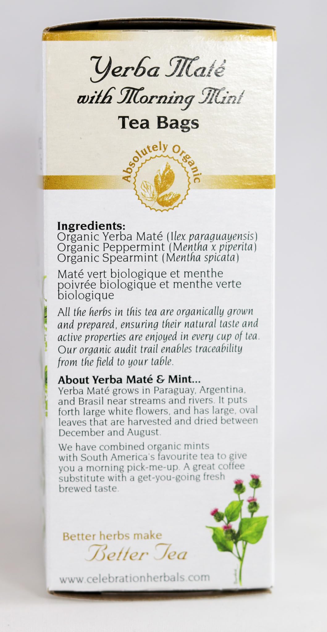 Celebration Herbals Teabags Herbal Yerba Mate with Morning Mint Tea Organic - 24 Herbal Tea Bags