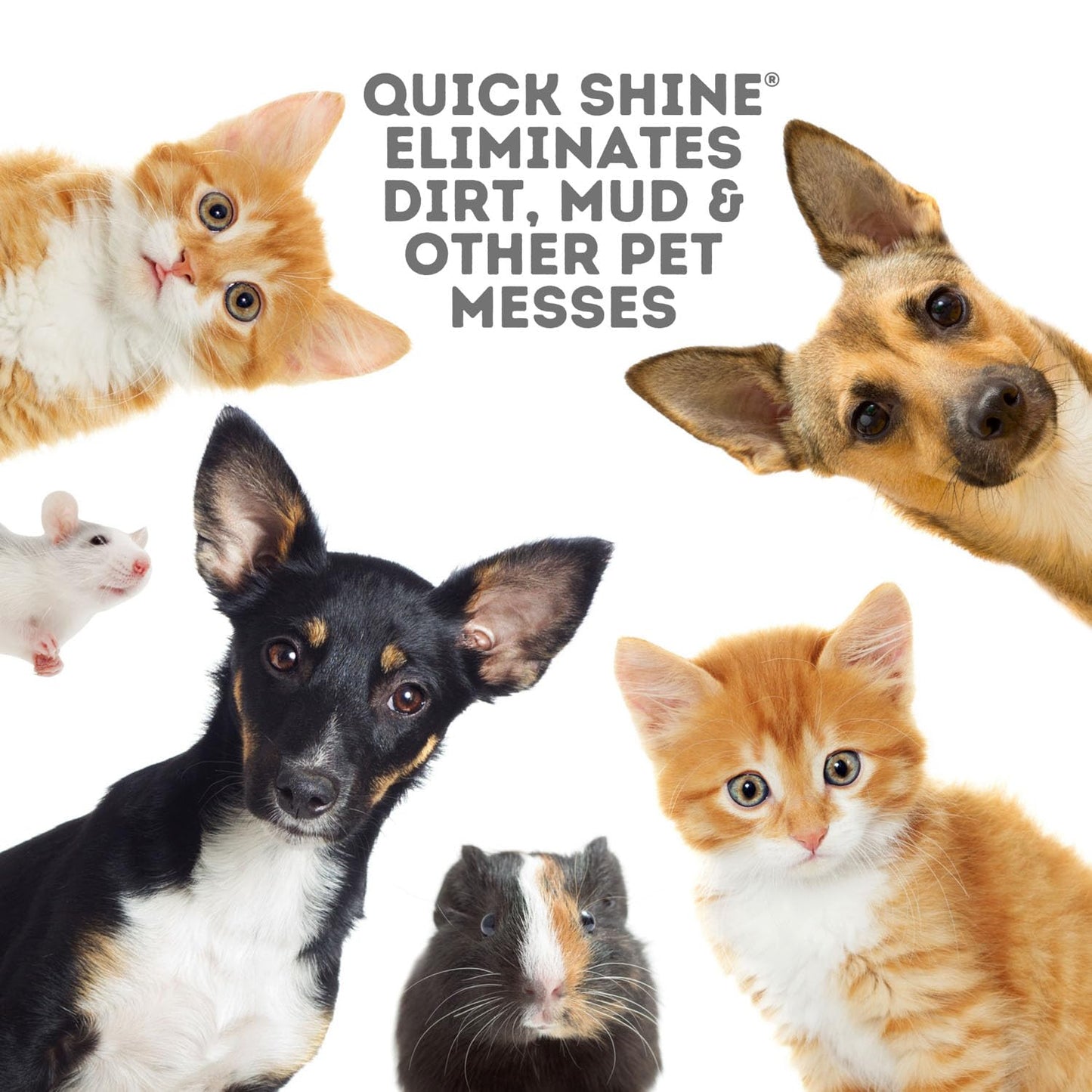Quick Shine Hard Surface Pet Floor Cleaner 27 oz | Ready to Use, Removes Dirt, Streak Free, No Rinse | Hardwood, Laminate, Luxury Vinyl Plank LVT
