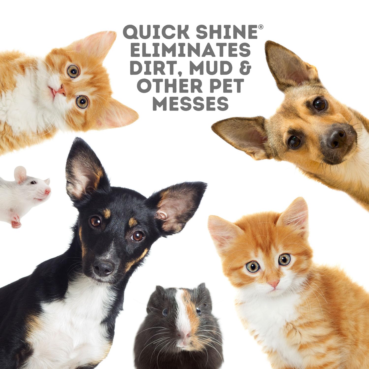 Quick Shine Hard Surface Pet Floor Cleaner 27 oz | Ready to Use, Removes Dirt, Streak Free, No Rinse | Hardwood, Laminate, Luxury Vinyl Plank LVT