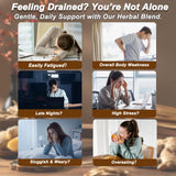 Ginseng Five Treasures Tea, Natural Kidney Cleanse & Detox Tea for Adult, Traditional Chinese Herbal Tea Bags with 6 Precious Ingredients Formula (2