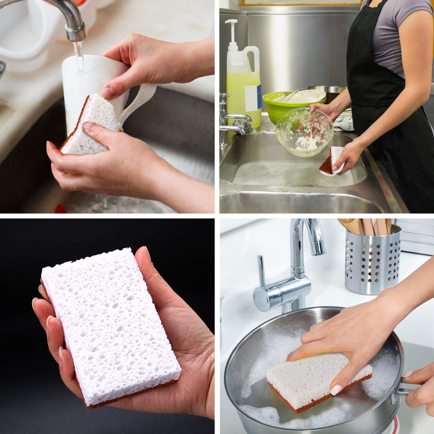 Natural Plant Based Scrub Sponge 12 Pack, Palm Fiber Scrubbing Sponge with Non Scratch Biodegradable Compostable Sponges,Long Lasting No Smell