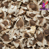 Alebrixes - Moringa 6 oz | Premium Quality Moringa Oleifera (Drumstick) | 100% Natural Herbal Tea | Imported from Mexico