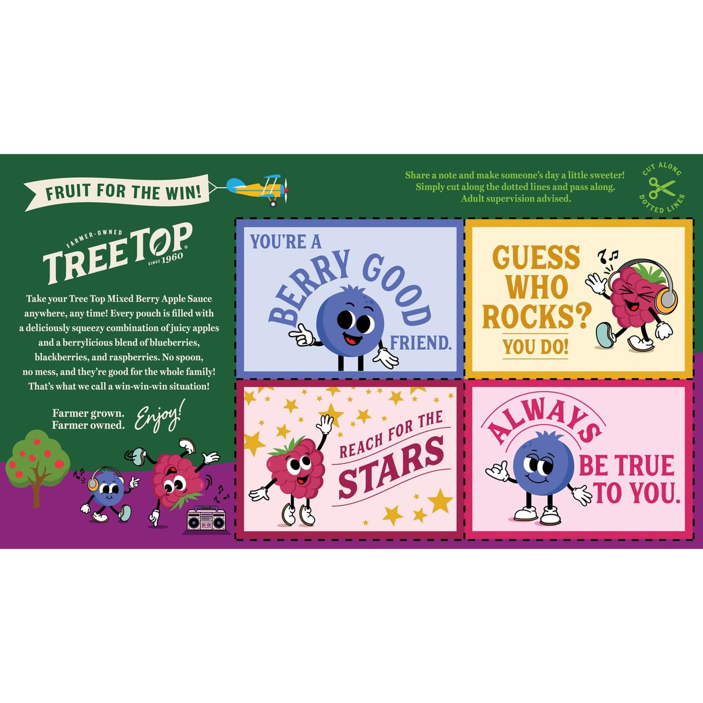 Tree Top Applesauce Pouches (3.2 Ounce (Pack of 12), Mixed Berry)