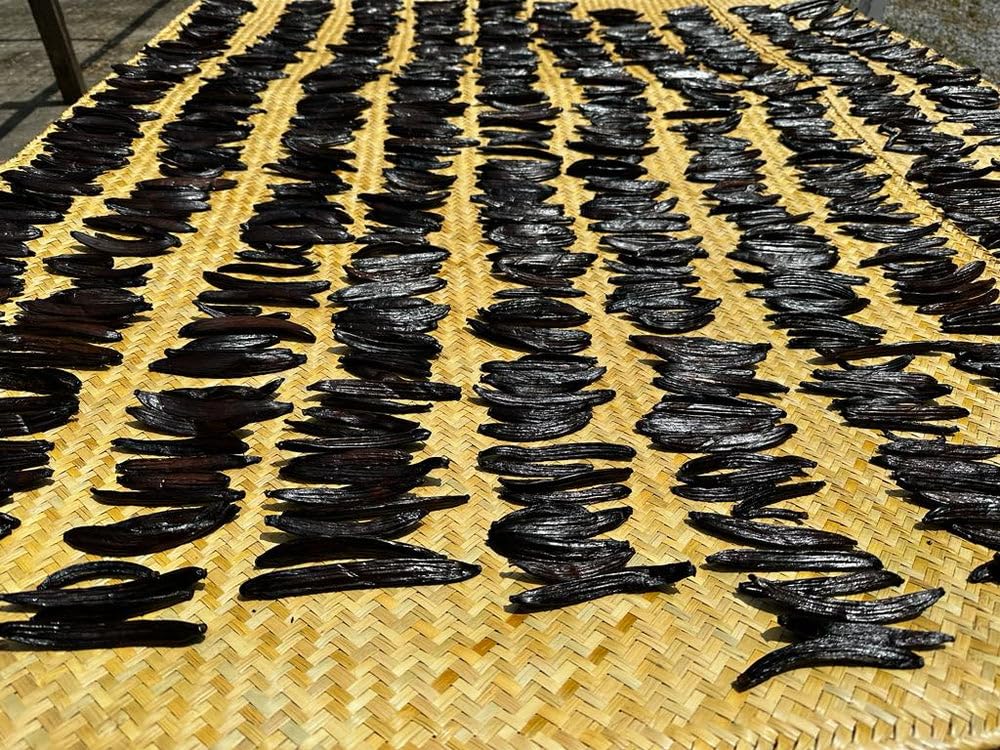 25 Guatemalan Vanilla Beans Whole Grade A Vanilla Pods for Homemade Vanilla Extract, Baking, Ice Cream, Flavoring, & Vanilla Powder