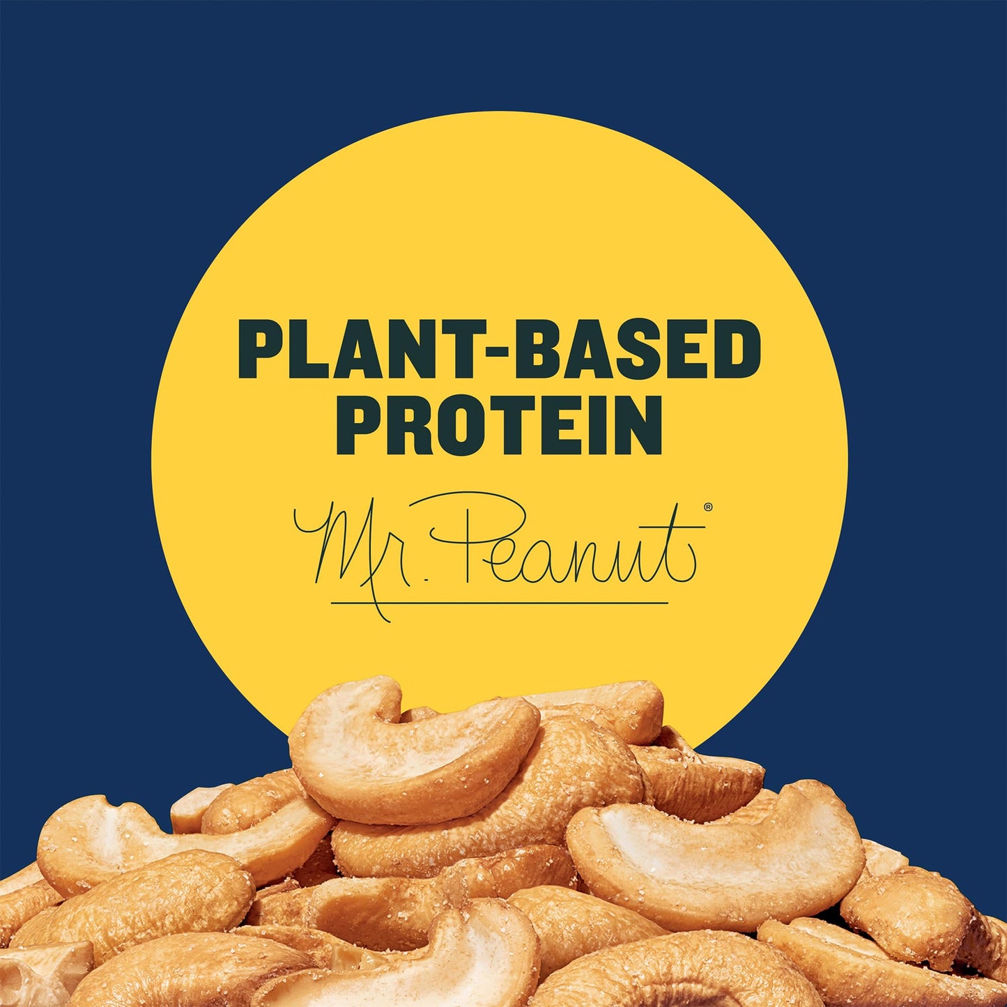 PLANTERS Salted Cashew Halves & Pieces, Party Snacks, Plant-Based Protein, 14 Oz Canister
