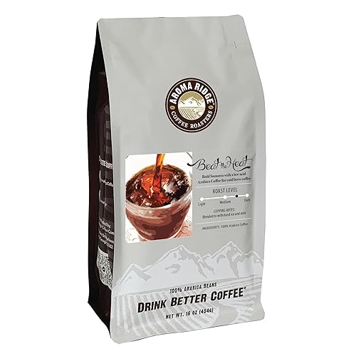 Aroma Ridge Beat The Heat Cold Brew Coffee - Premium Cold Brew Blend | 100% Arabica Bold Low-Acid Coffee Beans | Ground for Cold Brew - 16 oz