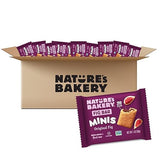 Nature’s Bakery Whole Wheat Fig Mini Bars, Original Fig, Real Fruit, Vegan, Non-GMO, Snack bar, Mini Bars - 150 ct