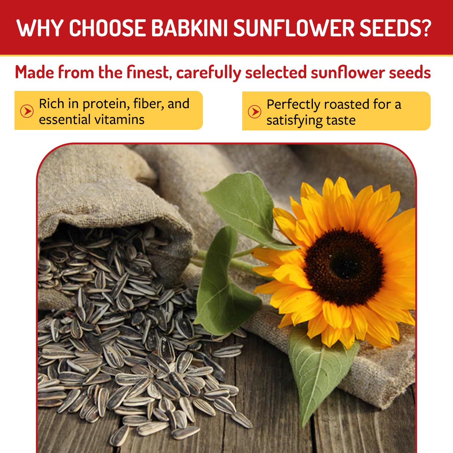 Babkini Semechki Sunflower Seed Salted - Roasted Sunflower Seeds with Crunchy Texture & Rich Nutty Flavor- Seed Packed with Protein & Fiber for a