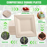 Bgtecho 125 Pack Compostable Square Plates,6 Inch Disposable Paper Plate,Heavy Duty Square Paper Plates,Biodegradable Bagasse Plate for Party Picnic
