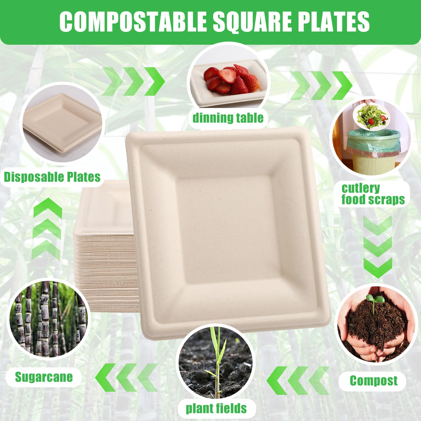 Bgtecho 125 Pack Compostable Square Plates,6 Inch Disposable Paper Plate,Heavy Duty Square Paper Plates,Biodegradable Bagasse Plate for Party Picnic