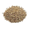 Essential Spice Whole Anise Seeds, 3 oz Tin - Sweet, Aromatic Licorice Flavor for Baking, Breads, Teas & Mediterranean Cooking - Premium Whole Spice