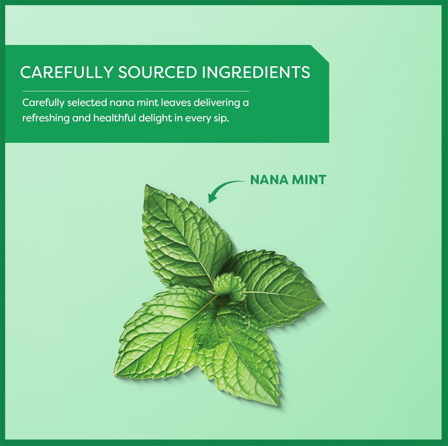 Wissotzky Nana Mint Green Tea (3 Pack - 60 Tea Bags) | Antioxidant Rich | Moroccan Mint Tea Bags | Revitalizing Nana Tea