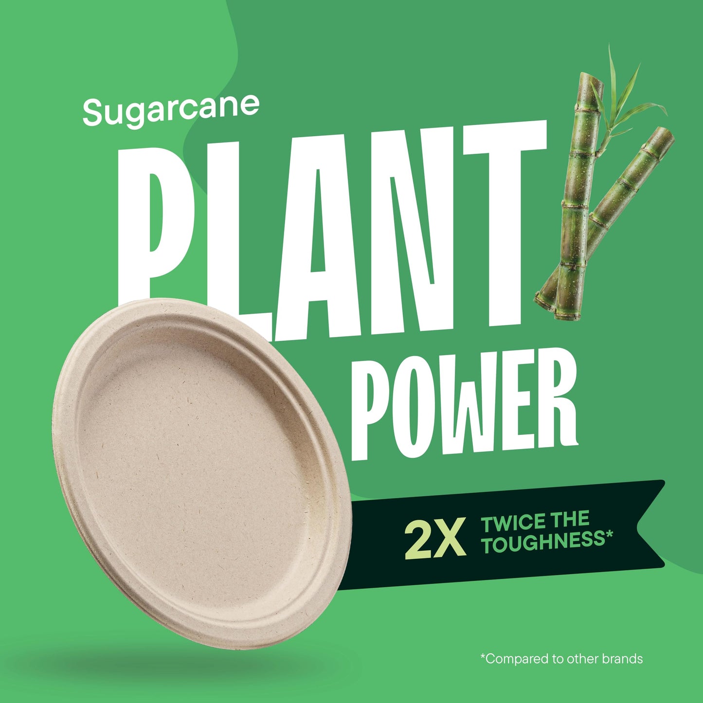 100% Compostable Paper Plates, Heavy Duty Disposable Plates [125-Pack] 9 Inch Plates - Eco-Friendly, Biodegradable Sugarcane Bagasse, Natural