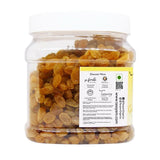 Tassyam Golden Raisins Healthy Juicy Hand-Sorted Jumbo Indian Kishmish Jar, 700g