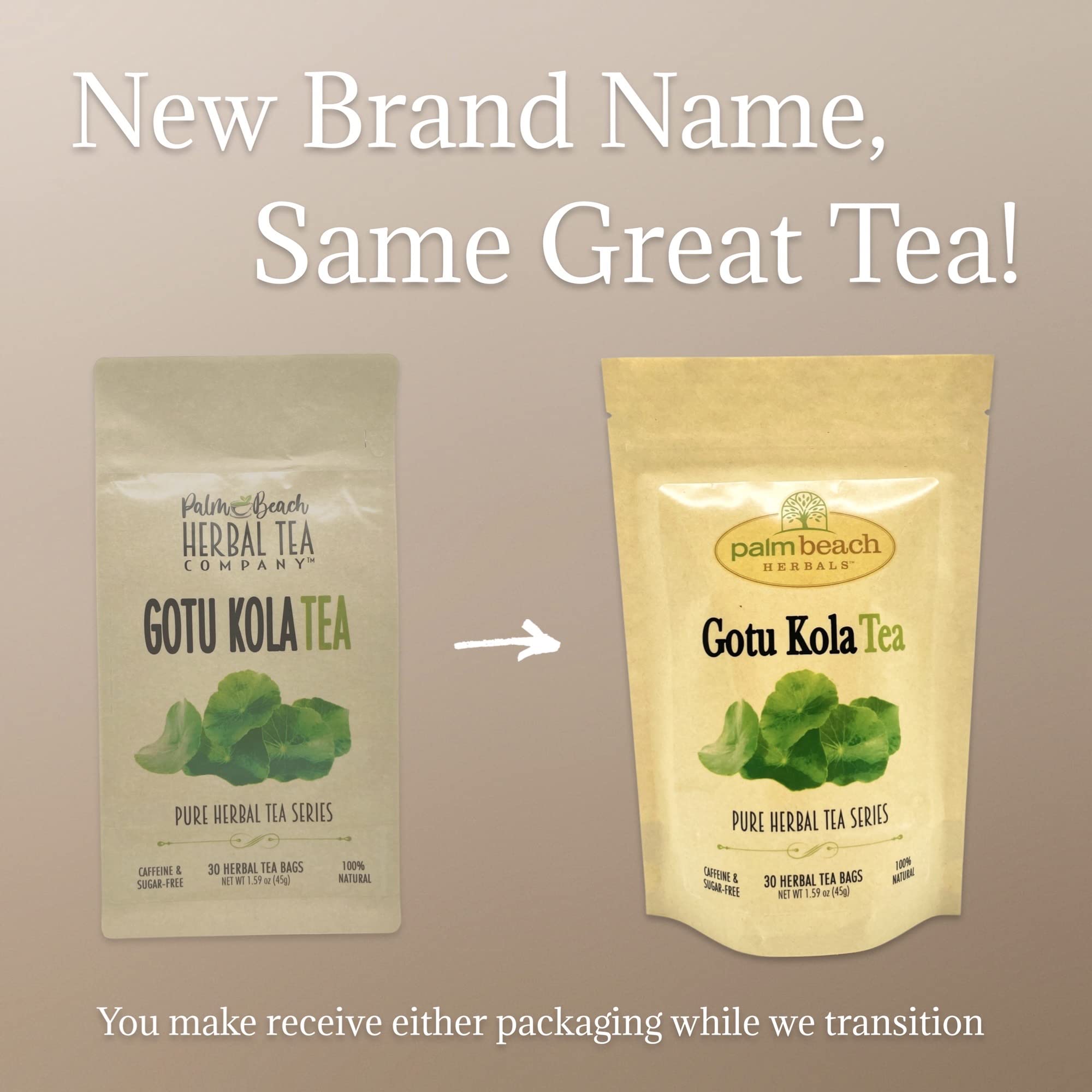 Palm Beach Medicinal Herbs - Gotu Kola Tea - Pure Herbal Tea Series, 30ct