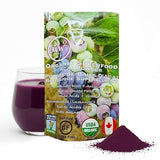 am2 Organic Acai Powder - Freeze Dried Acai Berry Granulated Powder - 100% Natural Fruit Powder - Antioxidant Rich Superfood Powder for Smoothie Bowls