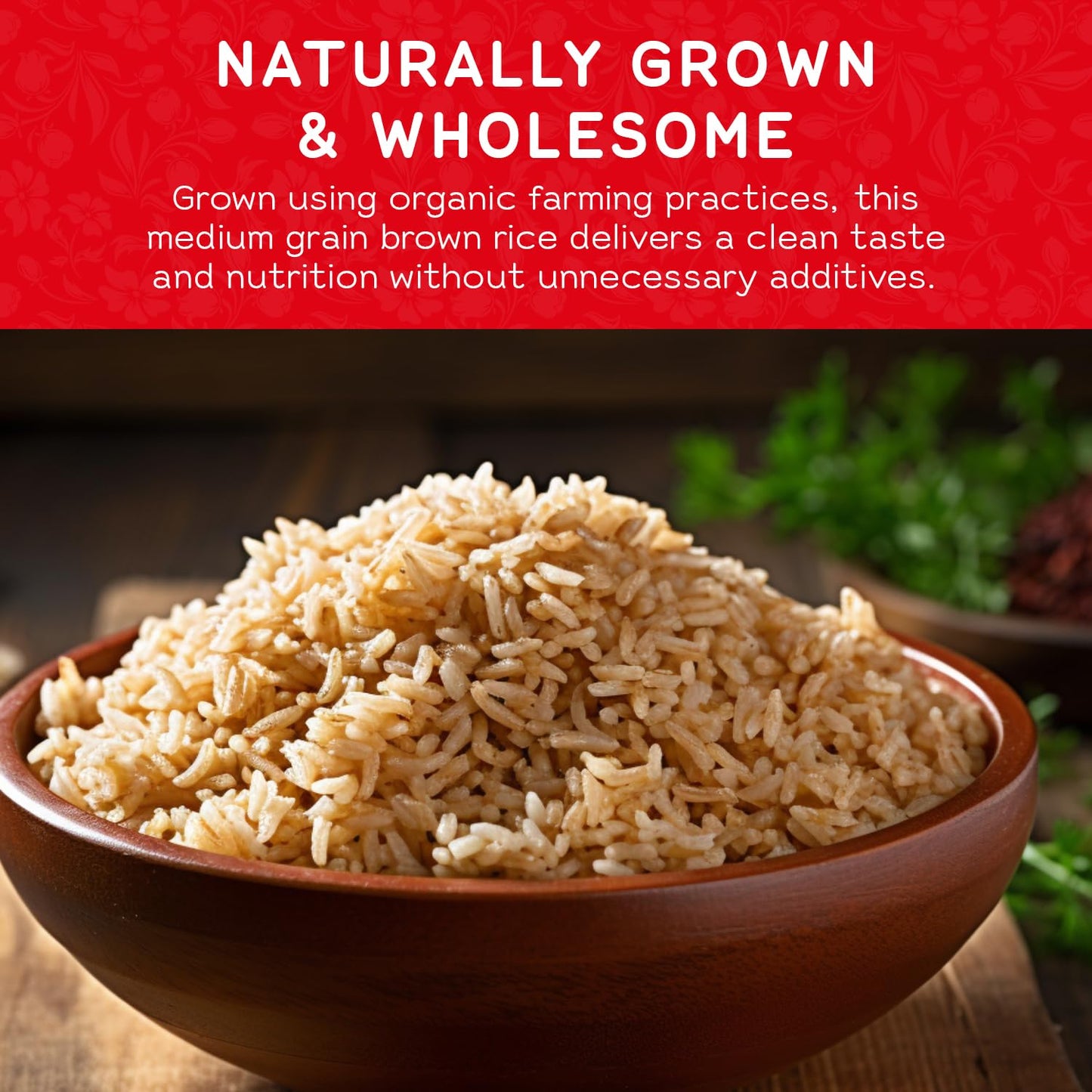 Gen-Ji-Mai Organic Medium Grain Brown Rice - Whole Grain Japanese Style Rice for Meal Prep, Low Carb and Balanced Meals - Vegan, Gluten-Free with more Fiber (15 lb Bag)