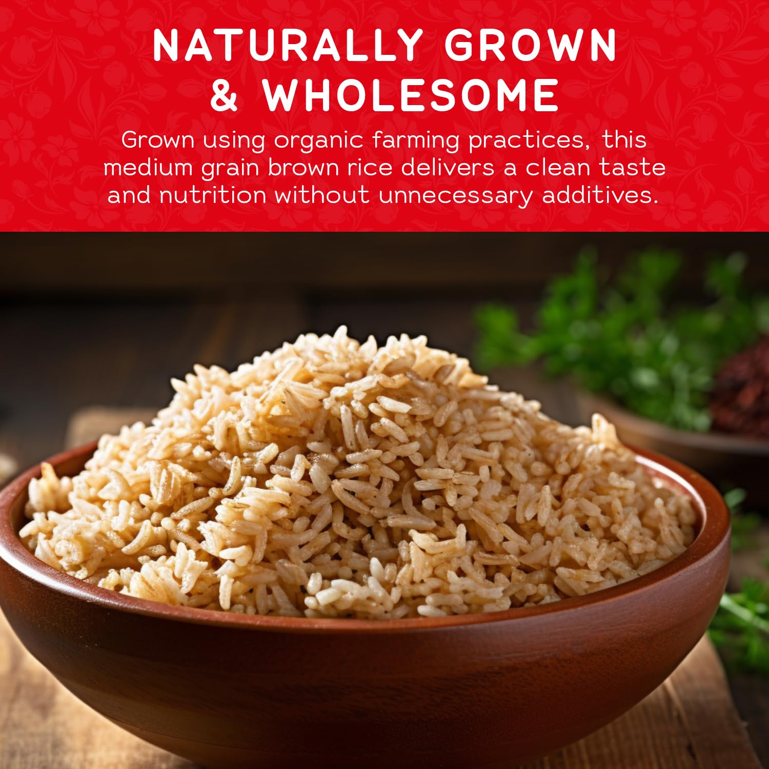 Gen-Ji-Mai Organic Medium Grain Brown Rice - Whole Grain Japanese Style Rice for Meal Prep, Low Carb and Balanced Meals - Vegan, Gluten-Free with more Fiber (15 lb Bag)