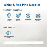 NORTH AMERICAN HERB & SPICE Pine Power Plus - 8 fl oz - Immune & Cardiovascular Support - 23 Servings