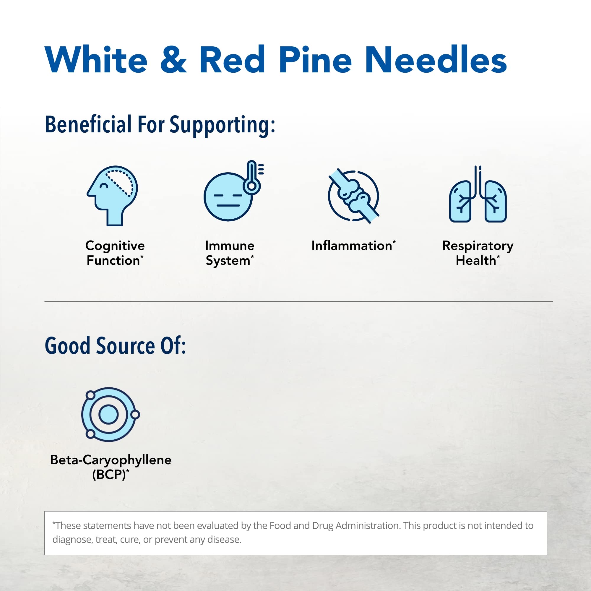 NORTH AMERICAN HERB & SPICE Pine Power Plus - 8 fl oz - Immune & Cardiovascular Support - 23 Servings