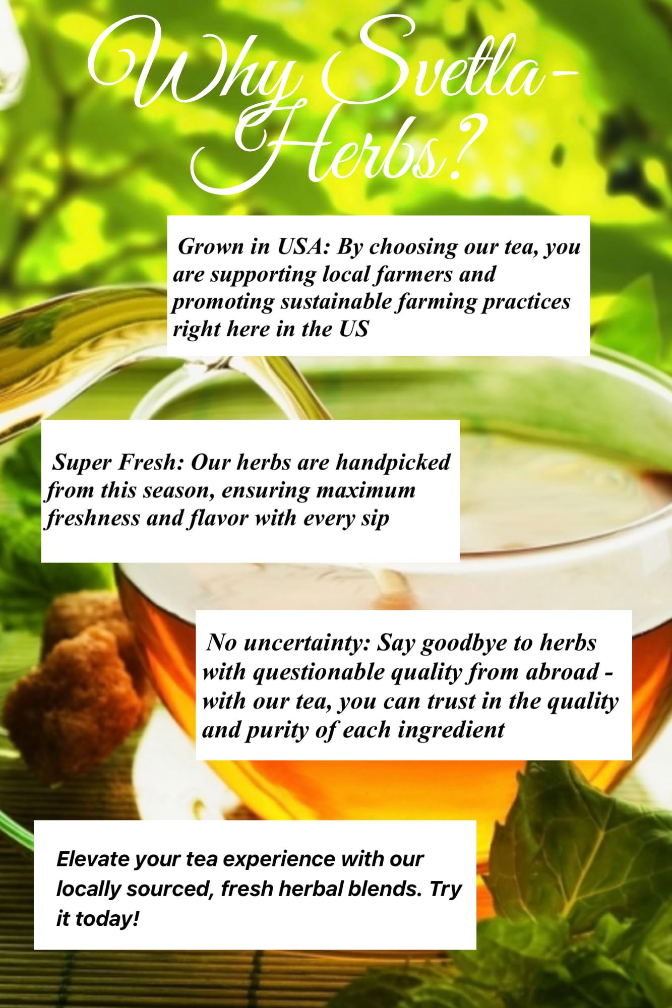 Herbal Hair Growth Tea for Thicker, Stronger Hair -Natural Regrowth Blend with Horsetail, Rosemary & Nettle -Florida Fresh Herbs - 50 g (1.76 OZ)