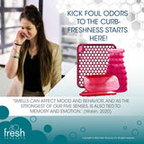 Fresh Products Fall Fragrance variety pack air freshener refill includes 1 ourfreshe and 1 eco-air and 1 eco-air clip in Spiced Apple 3 pack