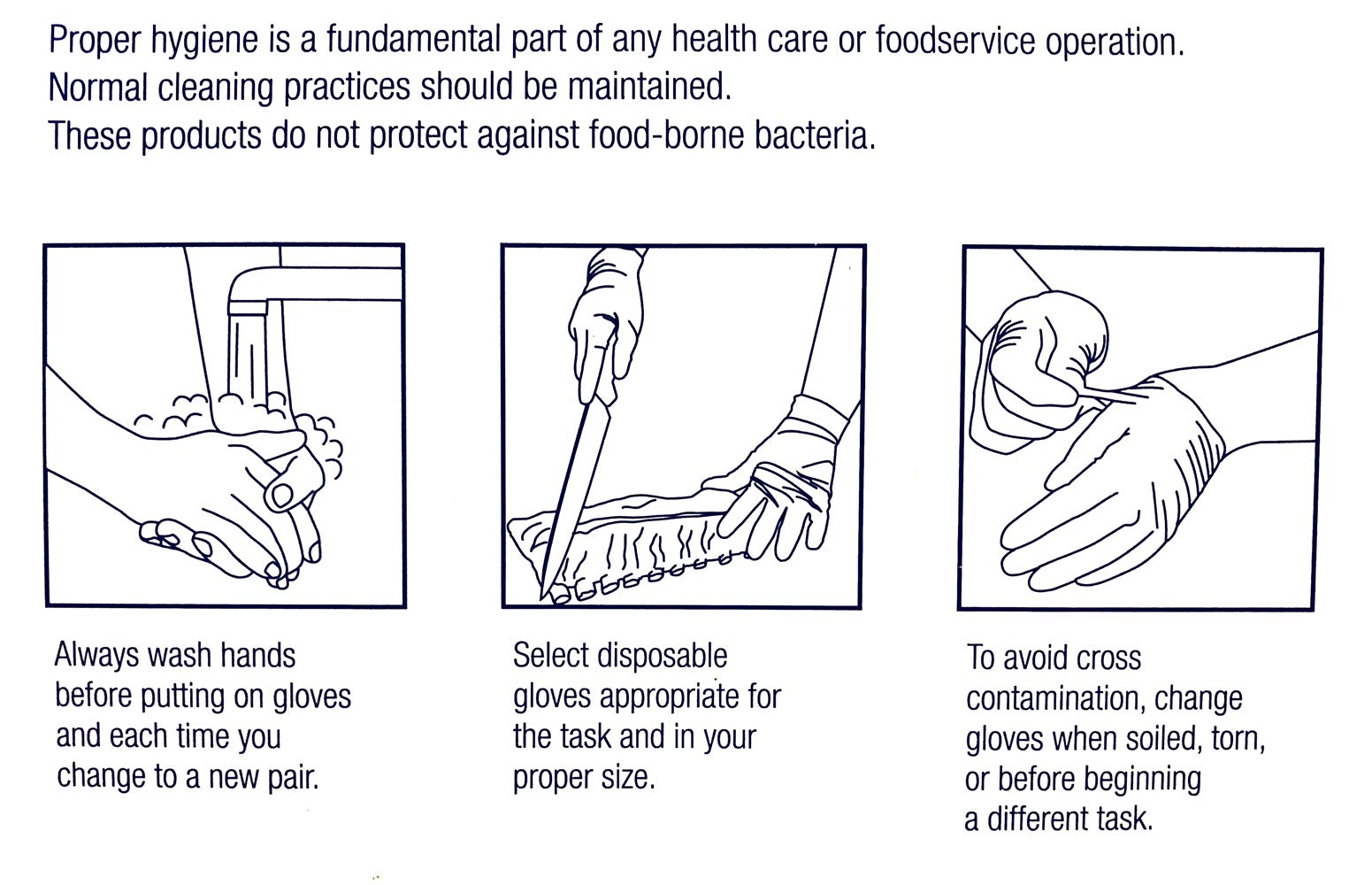 Powder-Free. Vinyl Gloves. 100 Gloves. (Transparent, M)