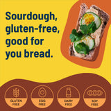 Pacha Organic Multiseed Buckwheat Sourdough, 22 OZ