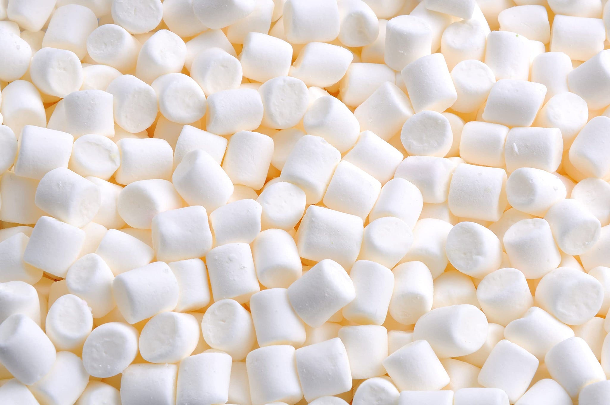 Individually Wrapped Marshmallows | 24 x 2 sets = 48 units | 1" cylinder shape | Great for gatherings, camping, fire pits, birthday parties, corporate