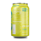 Poppi Sparkling Prebiotic Soda Beverage with Apple Cider Vinegar, Seltzer Water and Fruit Juice, Ginger Lime Flavor, 12 FL Oz, Pack of 12, Packaging