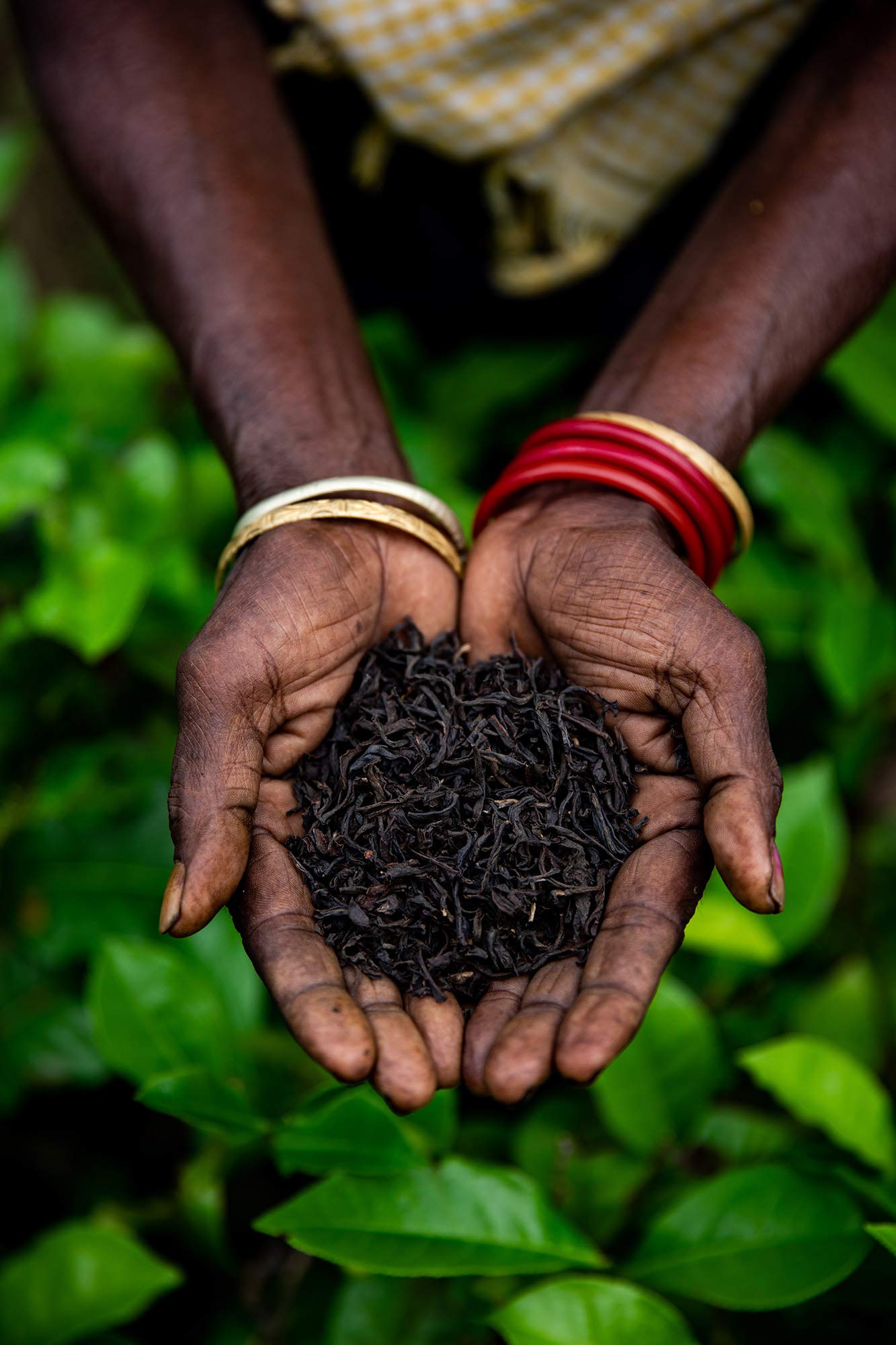 Loose Leaf Earl Grey Black Tea (200+ Cups) - Fresh Harvest - Directly Shipped From Our Family-Owned Estate in India - Blended with Organic Bergamot