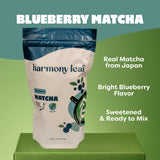 Harmony Leaf Blueberry Matcha Green Tea Powder, 35.3 oz, Makes ~80 Drinks, Flavored Matcha Latte Mix for Cafes
