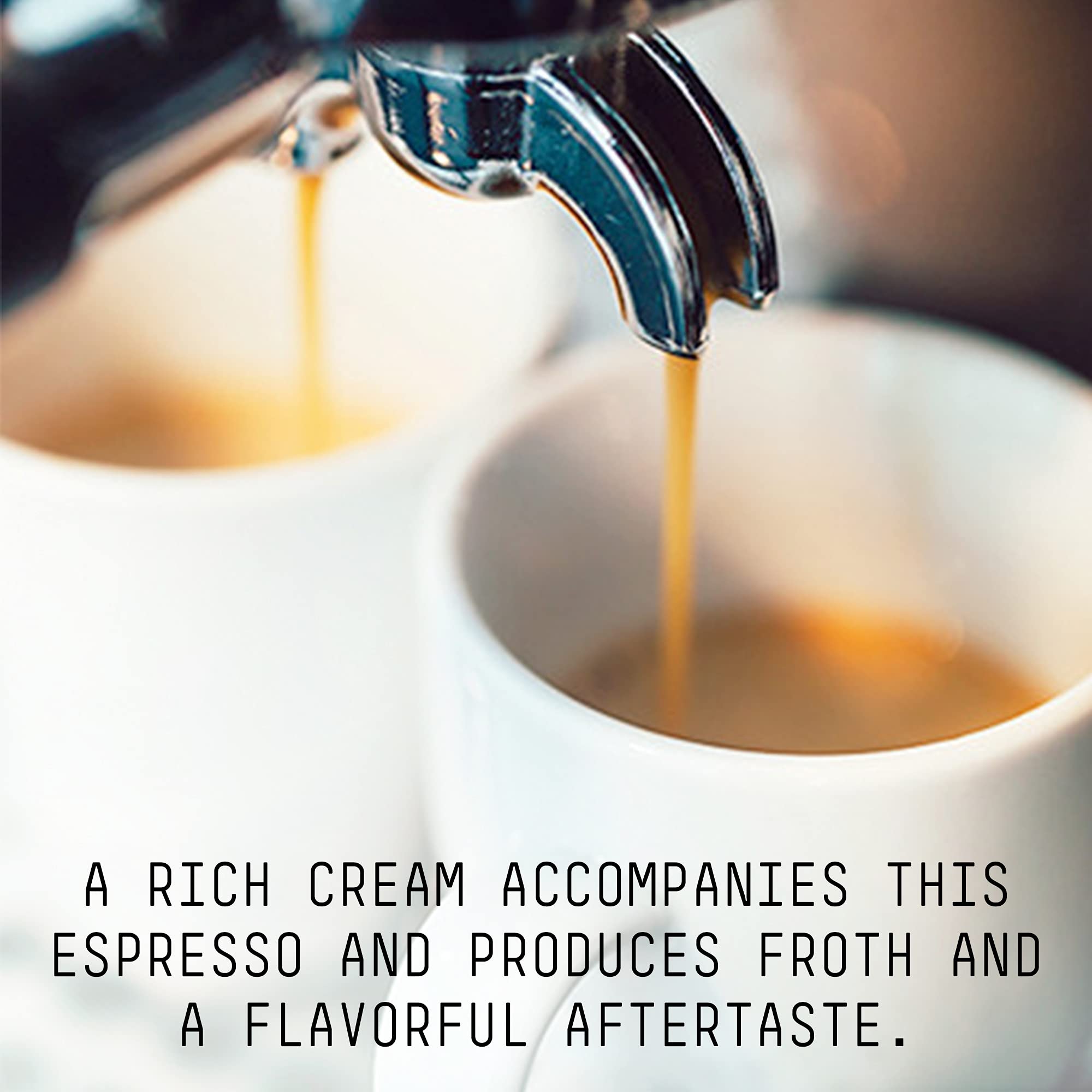 Miscela Privata Italian Style Espresso Ground Coffee, Fine Grind, Dark Roast, Full-Bodied Bold & Balanced, 1 LB
