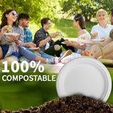10 Inch Compostable Paper Plates?White 150 Pack?, 100% Sugarcane Bagasse Large Disposable Plates, Sturdy Heavy Duty, Biodegradable Dinnerware