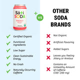 Sati Soda Berry - Natural Energy Soda with Yerba Mate & Guayusa - Low Sugar (9g), Organic, Clean Caffeine Sparkling Drink -Low caffeine (1/4 cup