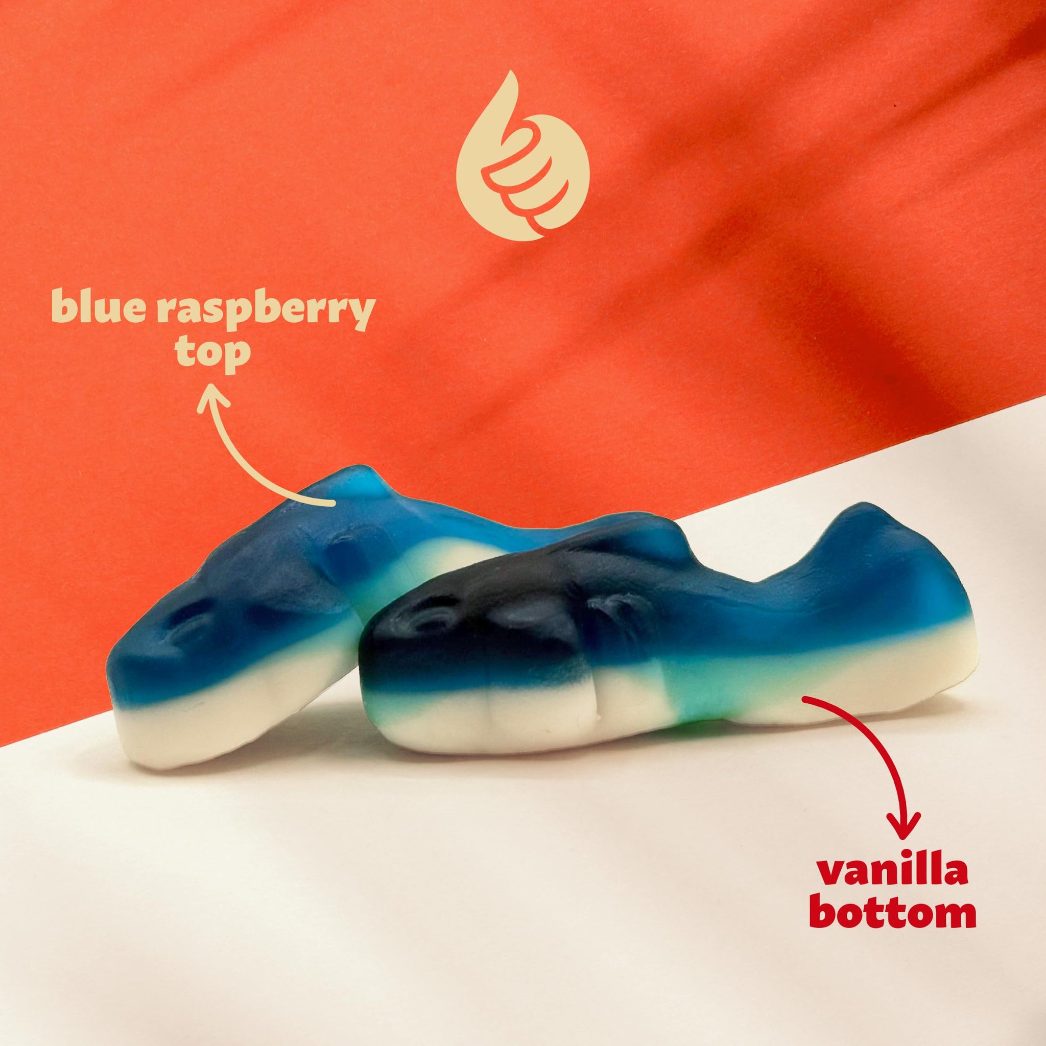 Blue Sharks Gummy Candy | 1 Pound Bag | Fruity Shark Gummies | Soft Chewy Gummy Fish for Parties, Candy Buffets, Events | Blue Raspberry and Vanilla